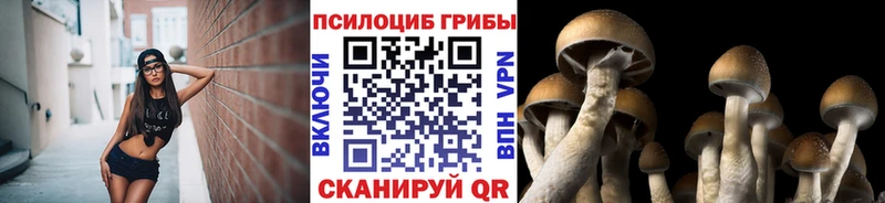 Псилоцибиновые грибы мухоморы  mega ССЫЛКА  Курганинск 